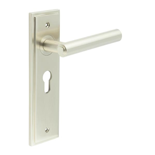 This is an image showing the Frelan - Richmond Door Handle Euro Backplate Satin Nickel available to order from T.H. Wiggans Ironmongery in Kendal