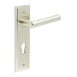 This is an image showing the Frelan - Richmond Door Handle Din Euro Backplate Satin Nickel available to order from T.H. Wiggans Ironmongery in Kendal