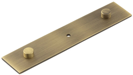 This is an image showing the Hoxton - Fanshaw AB 140x30mm Back Plate Concealed Screw Caps available to order from T.H. Wiggans Ironmongery in Kendal