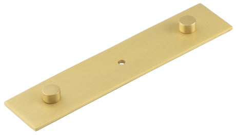 This is an image showing the Hoxton - Fanshaw SB 140x30mm Back Plate Concealed Screw Caps available to order from T.H. Wiggans Ironmongery in Kendal