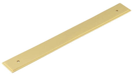 This is an image showing the Hoxton - Rushton SB 268x30mm Back Plate for Pull Handle with 224mm Cts available to order from T.H. Wiggans Ironmongery in Kendal