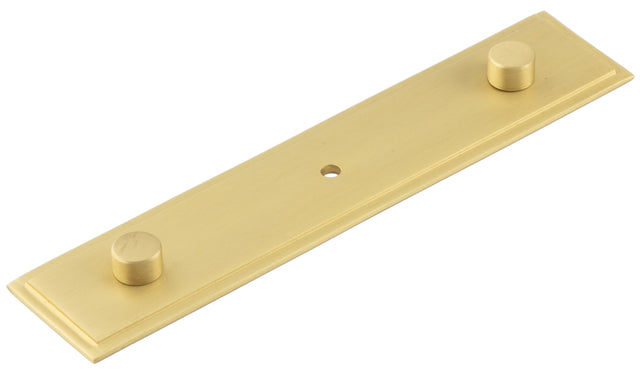 This is an image showing the Hoxton - Rushton SB 140x30mm Back Plate With Concealed Screw Caps available to order from T.H. Wiggans Ironmongery in Kendal