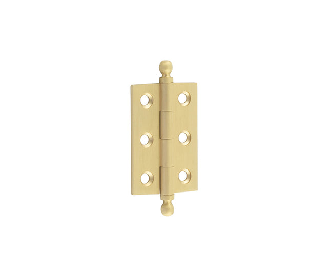 This is an image showing the Hoxton - 50x35mm SB Final hinge available to order from T.H. Wiggans Ironmongery in Kendal