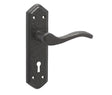 This is an image showing the Frelan - Wentworth Lever Lock Handles on Backplate - Antique Black available to order from T.H. Wiggans Ironmongery in Kendal