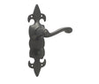 This is an image showing the Frelan - Fleur De Lys Bathroom Lock Handles available to order from T.H. Wiggans Ironmongery in Kendal