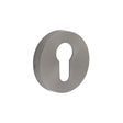 This is an image showing the Frelan - GM Euro Profile Escutcheon PVD 52x8mm available to order from T.H. Wiggans Ironmongery in Kendal