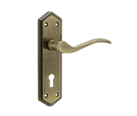 This is an image showing the Frelan - Paris Standard Lever Lock Handles on Backplates - Antique Brass available to order from T.H. Wiggans Ironmongery in Kendal