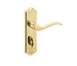 This is an image showing the Frelan - Paris Bathroom Lock Handles on Backplates - PVD Brass available to order from T.H. Wiggans Ironmongery in Kendal