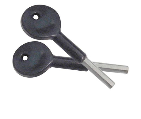 This is an image showing the Frelan - 2 x Key for Locking Sash Stop's available to order from T.H. Wiggans Ironmongery in Kendal