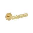 This is an image showing the Frelan - Bloom Satin Brass Lever on Rose available to order from T.H. Wiggans Ironmongery in Kendal