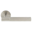 This image shows Eurospec - ARROW LEVER ON SPRUNG SCREW-ON ROUND ROSE - SSS - swl1172sss available from T.H. Wiggans Ironmongery in Kendal.