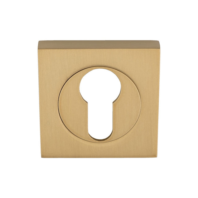 This image shows Serozzetta - Square Euro Profile Escutcheon - Satin Brass - szm001sqsb available from T.H. Wiggans Ironmongery in Kendal.
