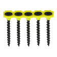 This is an image showing TIMCO Collated Drywall Screws - PH - Bugle - Coarse Thread - Black - 3.5 x 25 - 1000 Pieces Box available from T.H Wiggans Ironmongery in Kendal, quick delivery at discounted prices.