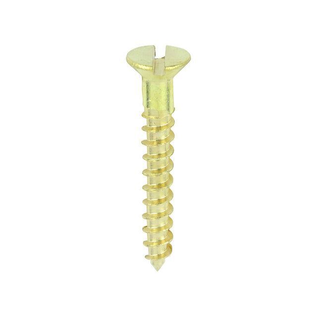 This is an image showing TIMCO Solid Brass Timber Screws - SLOT - Countersunk - 6 x 1 - 200 Pieces Box available from T.H Wiggans Ironmongery in Kendal, quick delivery at discounted prices.