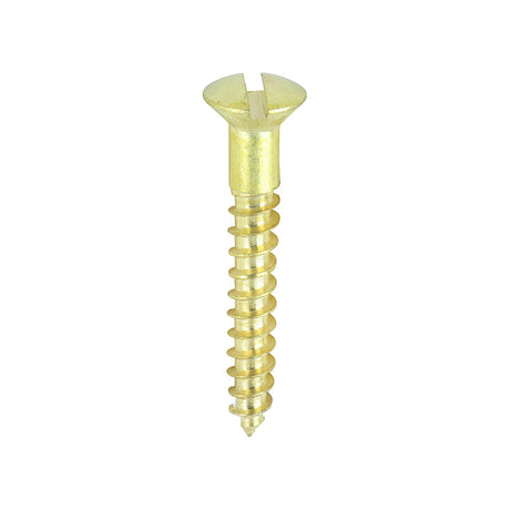 This is an image showing TIMCO Solid Brass Timber Screws - SLOT - Raised Countersunk - 6 x 1 - 200 Pieces Box available from T.H Wiggans Ironmongery in Kendal, quick delivery at discounted prices.