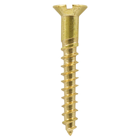 This is an image showing TIMCO Solid Brass Timber Screws - SLOT - Countersunk - 2 x 3/8 - 200 Pieces Box available from T.H Wiggans Ironmongery in Kendal, quick delivery at discounted prices.