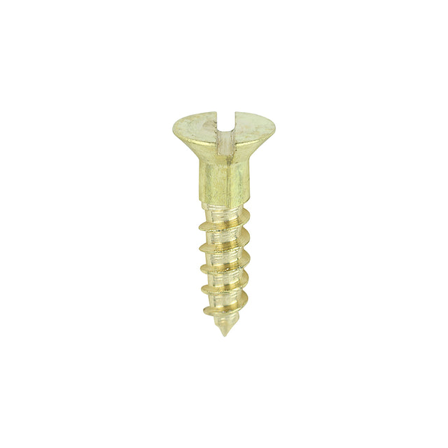 This is an image showing TIMCO Solid Brass Timber Screws - SLOT - Countersunk - 4 x 1/2 - 200 Pieces Box available from T.H Wiggans Ironmongery in Kendal, quick delivery at discounted prices.