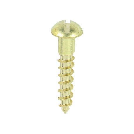 This is an image showing TIMCO Solid Brass Timber Screws - SLOT - Round - 6 x 3/4 - 200 Pieces Box available from T.H Wiggans Ironmongery in Kendal, quick delivery at discounted prices.