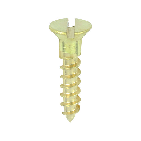 This is an image showing TIMCO Solid Brass Timber Screws - SLOT - Countersunk - 8 x 3/4 - 200 Pieces Box available from T.H Wiggans Ironmongery in Kendal, quick delivery at discounted prices.