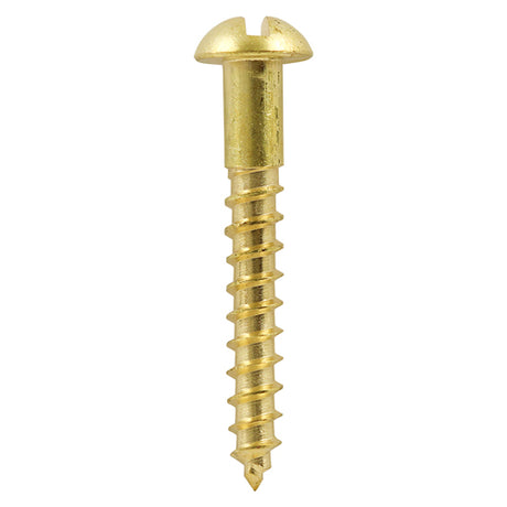 This is an image showing TIMCO Solid Brass Timber Screws - SLOT - Round - 8 x 3/4 - 200 Pieces Box available from T.H Wiggans Ironmongery in Kendal, quick delivery at discounted prices.