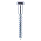 This is an image showing TIMCO Coach Screws - Hex - Zinc - 6.0 x 80 - 100 Pieces Box available from T.H Wiggans Ironmongery in Kendal, quick delivery at discounted prices.