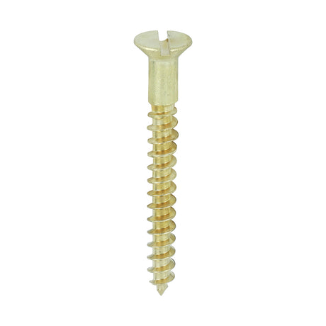 This is an image showing TIMCO Solid Brass Timber Screws - SLOT - Countersunk - 8 x 1 1/2 - 200 Pieces Box available from T.H Wiggans Ironmongery in Kendal, quick delivery at discounted prices.