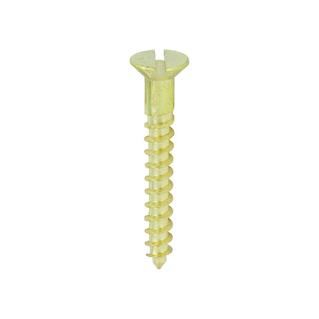 This is an image showing TIMCO Solid Brass Timber Screws - SLOT - Countersunk - 8 x 1 1/4 - 200 Pieces Box available from T.H Wiggans Ironmongery in Kendal, quick delivery at discounted prices.