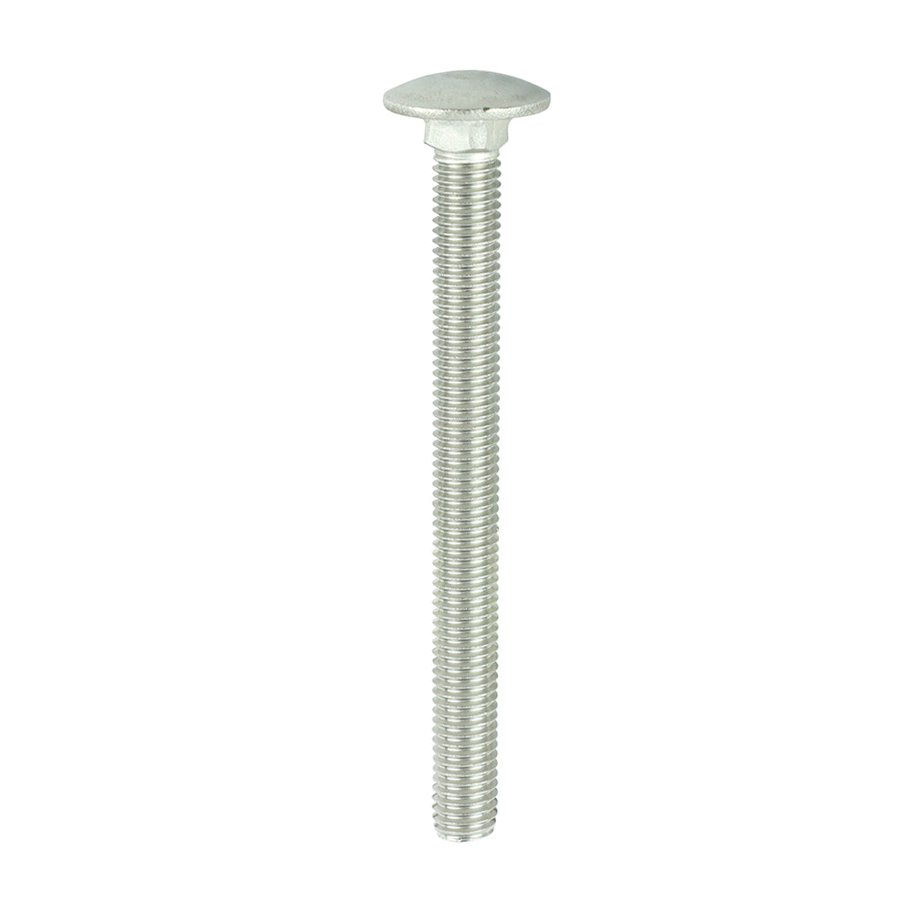 This is an image showing TIMCO Carriage Bolts - A2 Stainless Steel - M10 x 110 - 5 Pieces Bag available from T.H Wiggans Ironmongery in Kendal, quick delivery at discounted prices.