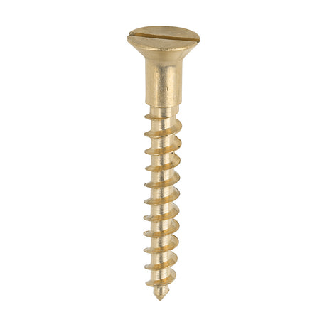 This is an image showing TIMCO Solid Brass Timber Screws - SLOT - Countersunk - 10 x 1 1/2 - 200 Pieces Box available from T.H Wiggans Ironmongery in Kendal, quick delivery at discounted prices.