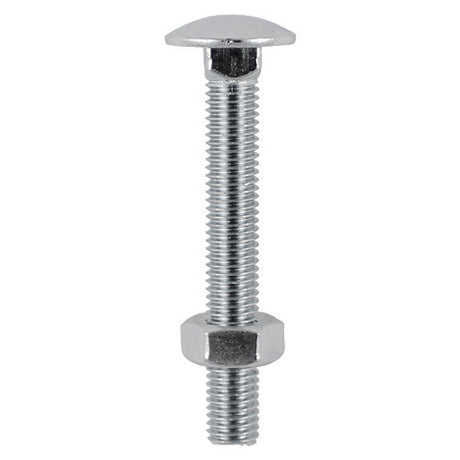 This is an image showing TIMCO Carriage Bolts & Hex Nuts - Stainless Steel - M12 x 100 - 2 Pieces TIMpac available from T.H Wiggans Ironmongery in Kendal, quick delivery at discounted prices.