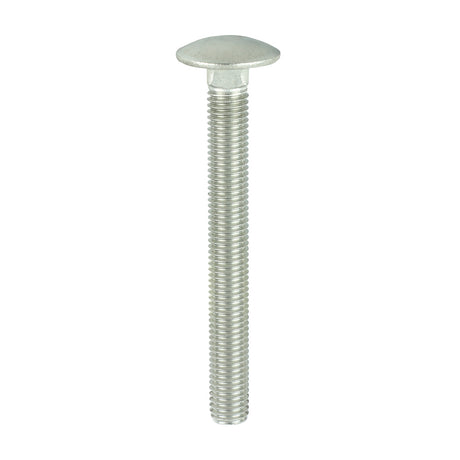 This is an image showing TIMCO Carriage Bolts - A2 Stainless Steel - M12 x 110 - 5 Pieces Bag available from T.H Wiggans Ironmongery in Kendal, quick delivery at discounted prices.