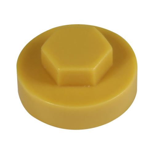 This is an image showing TIMCO Hex Head Cover Caps - Bamboo - 16mm - 1000 Pieces Bag available from T.H Wiggans Ironmongery in Kendal, quick delivery at discounted prices.