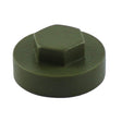 This is an image showing TIMCO Hex Head Cover Caps - Olive Green - 19mm - 1000 Pieces Bag available from T.H Wiggans Ironmongery in Kendal, quick delivery at discounted prices.