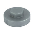 This is an image showing TIMCO Hex Head Cover Caps - Dark Silver - 19mm - 1000 Pieces Bag available from T.H Wiggans Ironmongery in Kendal, quick delivery at discounted prices.