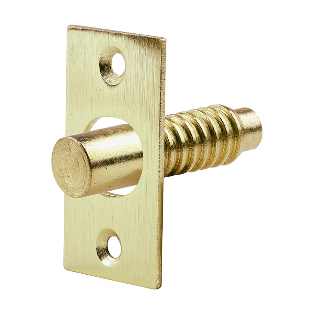 This is an image showing TIMCO Hinge Bolt - Electro Brass - 48mm - 2 Pieces Bag available from T.H Wiggans Ironmongery in Kendal, quick delivery at discounted prices.