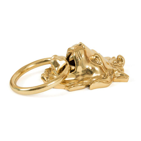 This is an image showing From The Anvil - Polished Brass Lion Head Door Knocker available from trade door handles, quick delivery and discounted prices