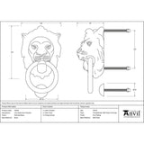 This is an image showing From The Anvil - Polished Brass Lion Head Door Knocker available from trade door handles, quick delivery and discounted prices