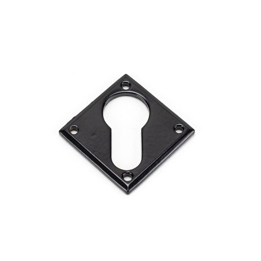 This is an image showing From The Anvil - Black Diamond Euro Escutcheon available from trade door handles, quick delivery and discounted prices