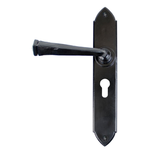 This is an image of From The Anvil - Black Gothic Lever Euro Lock Set available to order from T.H Wiggans Architectural Ironmongery in Kendal, quick delivery and discounted prices.