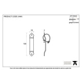 This is an image showing From The Anvil - Pewter Locking Gothic Screw on Staple available from trade door handles, quick delivery and discounted prices