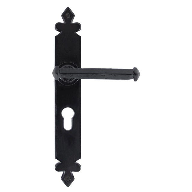 This is an image of From The Anvil - Black Tudor Lever Euro Lock Set available to order from T.H Wiggans Architectural Ironmongery in Kendal, quick delivery and discounted prices.