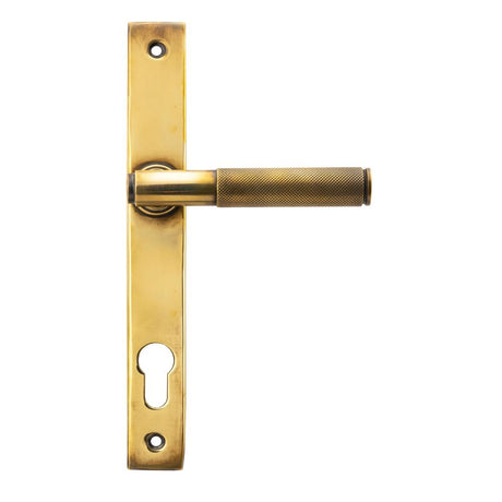 This is an image of From The Anvil - Aged Brass Brompton Slimline Lever Espag. Lock Set available to order from T.H Wiggans Architectural Ironmongery in Kendal, quick delivery and discounted prices.