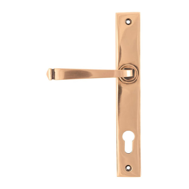 This is an image of From The Anvil - Polished Bronze Avon Slimline Espag. Lock Set available to order from T.H Wiggans Architectural Ironmongery in Kendal, quick delivery and discounted prices.