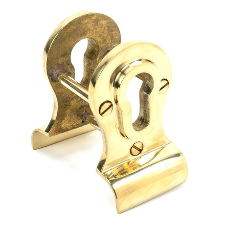 This is an image showing From The Anvil - Polished Brass 50mm Euro Door Pull (Back to Back fixings) available from trade door handles, quick delivery and discounted prices