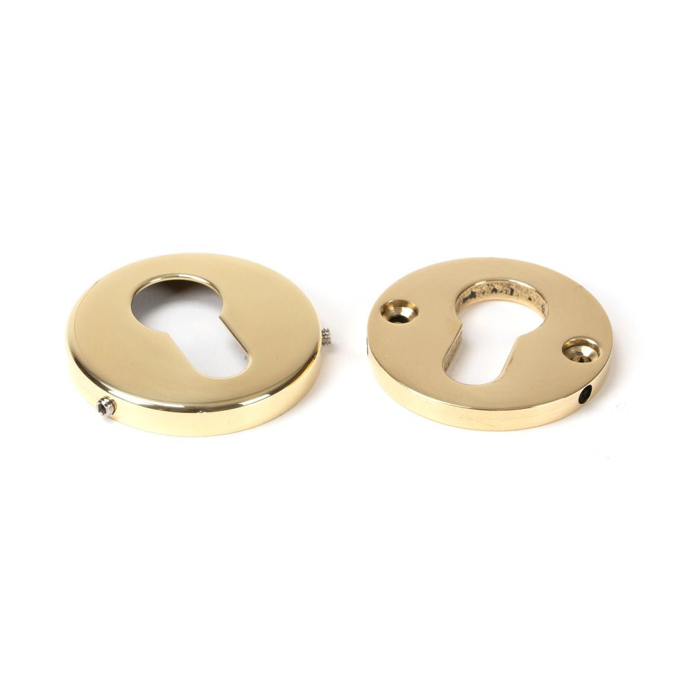 This is an image showing From The Anvil - Polished Brass 52mm Regency Concealed Escutcheon available from trade door handles, quick delivery and discounted prices