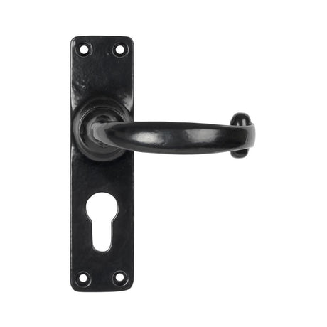 This is an image of From The Anvil - Black MF Lever Euro Lock Set available to order from T.H Wiggans Architectural Ironmongery in Kendal, quick delivery and discounted prices.