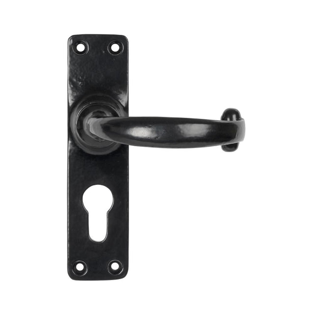 This is an image of From The Anvil - Black MF Lever Euro Lock Set available to order from T.H Wiggans Architectural Ironmongery in Kendal, quick delivery and discounted prices.