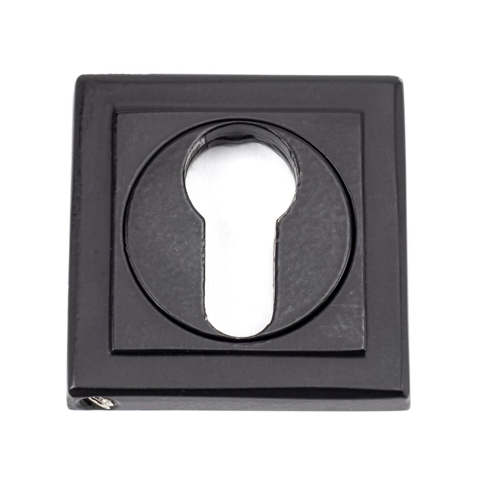 This is an image of From The Anvil - Matt Black Round Euro Escutcheon (Square) available to order from T.H Wiggans Architectural Ironmongery in Kendal, quick delivery and discounted prices.