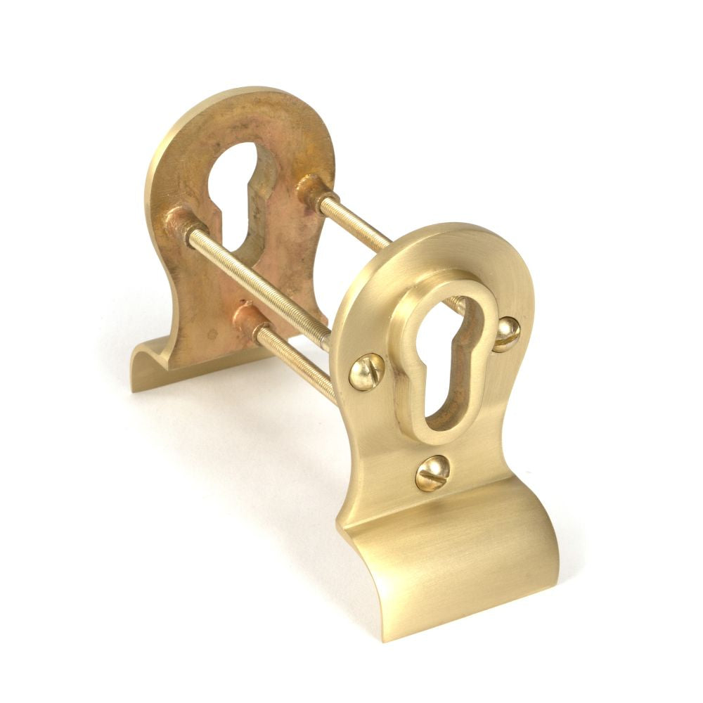 This is an image showing From The Anvil - Satin Brass 50mm Euro Door Pull (Back to Back fixings) available from trade door handles, quick delivery and discounted prices