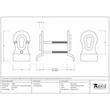 This is an image showing From The Anvil - Satin Brass 50mm Euro Door Pull (Back to Back fixings) available from trade door handles, quick delivery and discounted prices